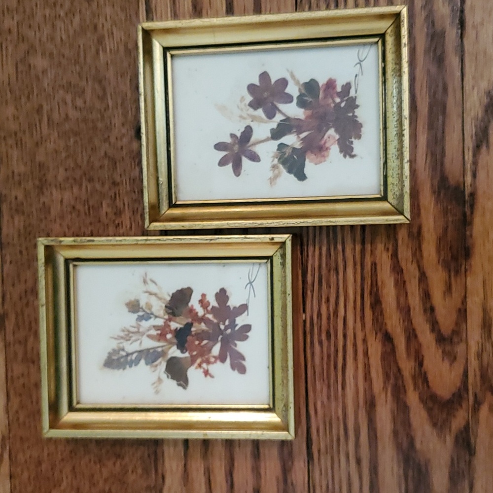 Vintage Floralp Tyrol Austria Pressed Flowers Miniature Framed Pictures Set of 2